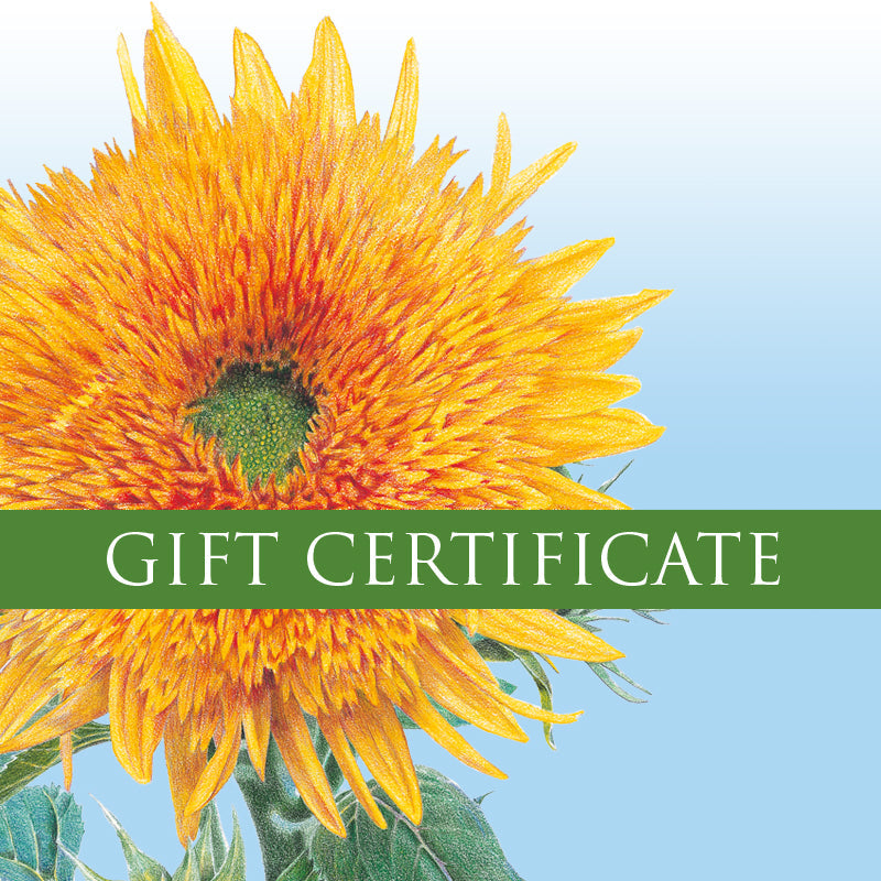 BI $200 Digital Gift Card - Affiliate