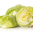 Great Lakes 118 Crisphead Lettuce Seeds