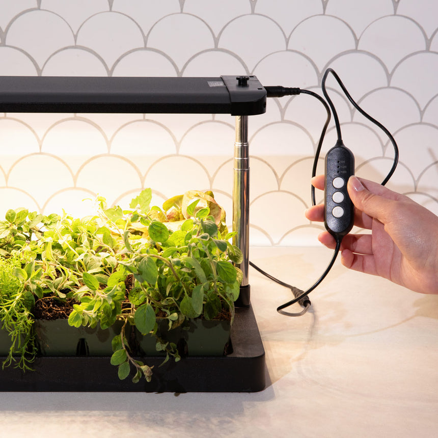 desk plant grow light Epic Grow Light with Tray – Botanical Interests