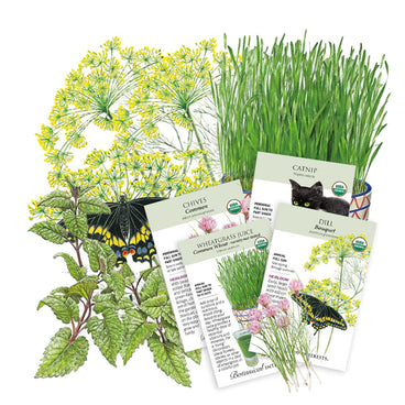 Herbal Garden