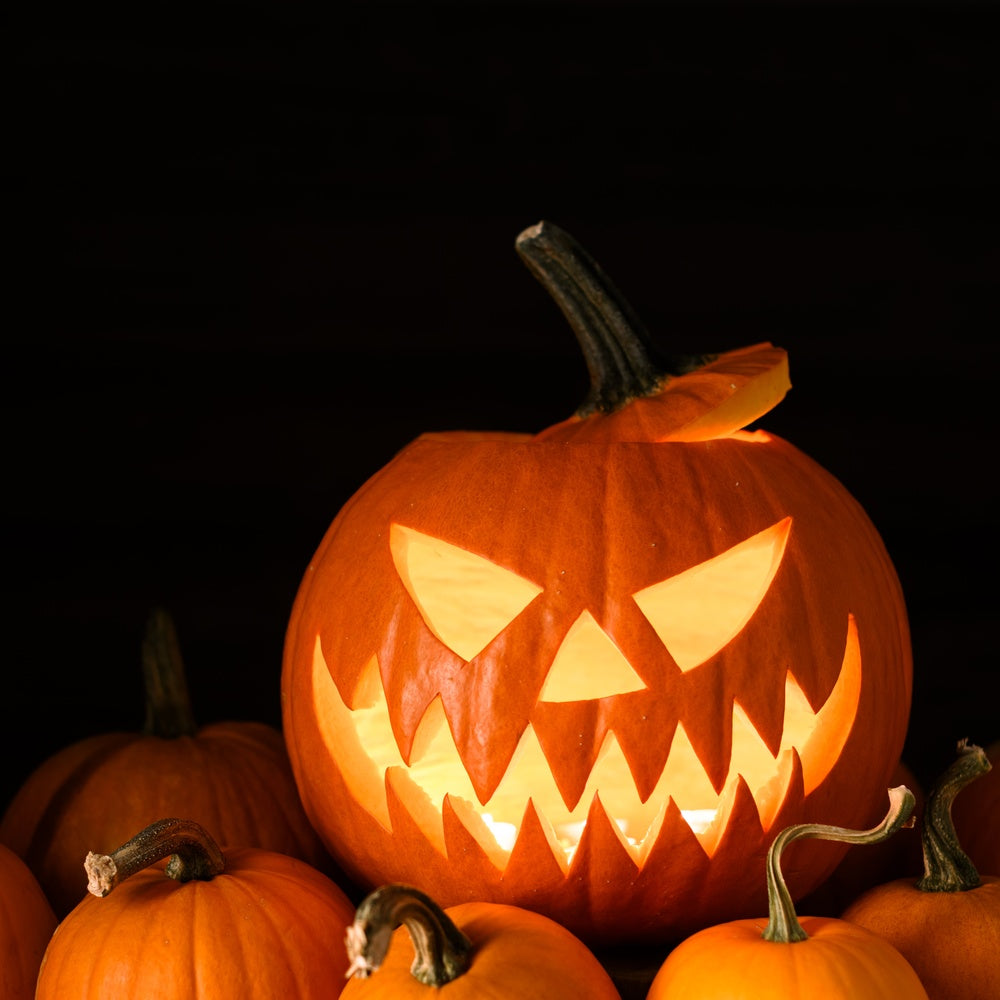 Jack O'Lantern Pumpkin Seeds