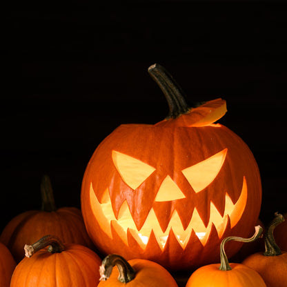 Jack O'Lantern Pumpkin Seeds