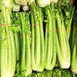 Merengo Celery Seeds