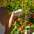 Midwest Prairie Splendor Flower Mix Seed Shaker