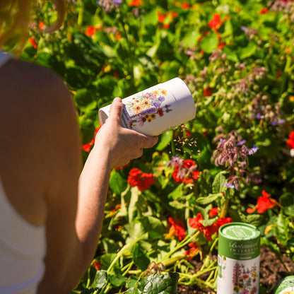 Midwest Prairie Splendor Flower Mix Seed Shaker