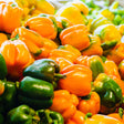 Orange Sun Sweet Pepper Seeds