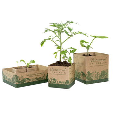 plant pots cardboard Recycled Paper Pots For Seedlings – Botanical Interests