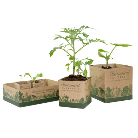 small compostable plant pots Recycled Paper Pots For Seedlings – Botanical Interests