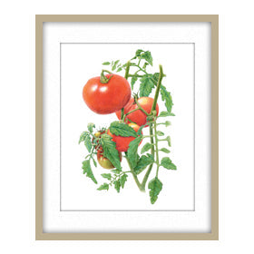 Botanical Art Prints