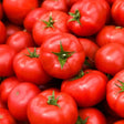 Red Pride Bush Tomato Seeds