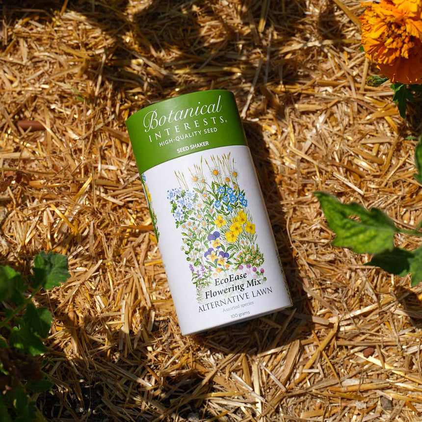 flower lawn seed mix EcoEase Flowering Mix Alternative Lawn Seed Shaker