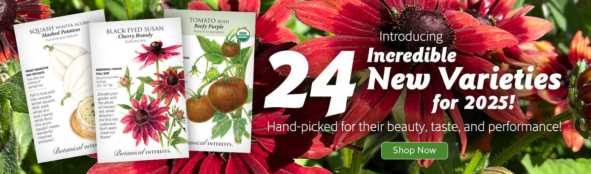 Botanical Interests High Quality Seeds and Garden Products