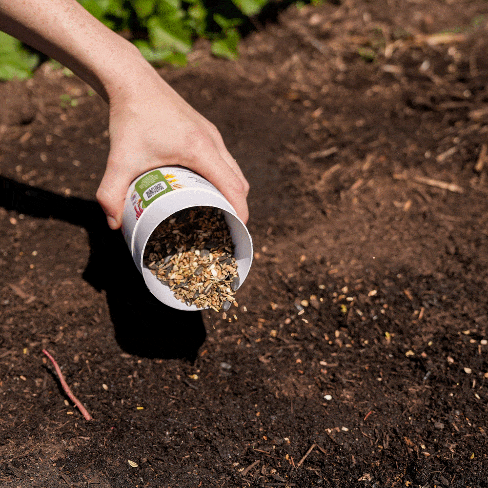 Songbird Delight Flower Mix Seed Shaker