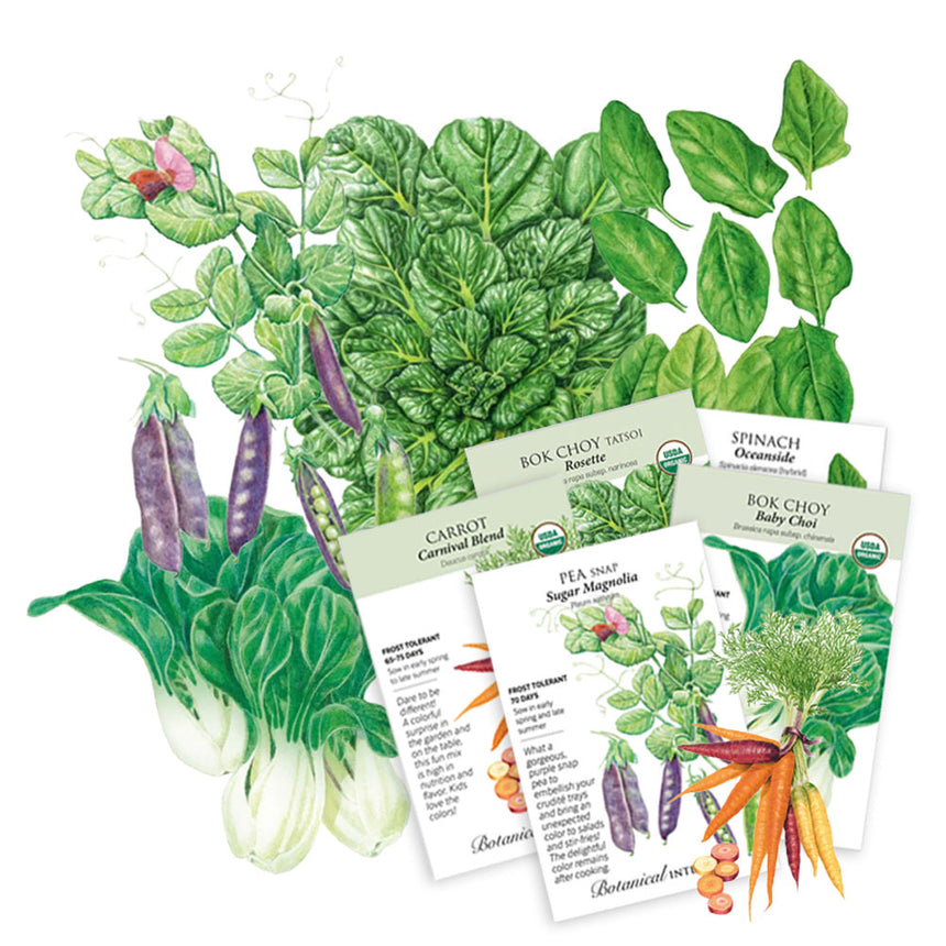 the cook's garden seed catalog Stir Fry Garden
