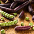 Sugar Magnolia Snap Pea Seeds