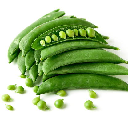 Sugar Snap Snap Pea Seeds