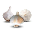 Majestic Hardneck, Romanian Red Hardneck, and Music Hardneck Garlic garlic bulbs on a white background