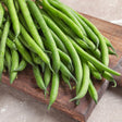 Tavera Filet Bush Bean Seeds