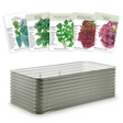 The Salad Garden Bundle