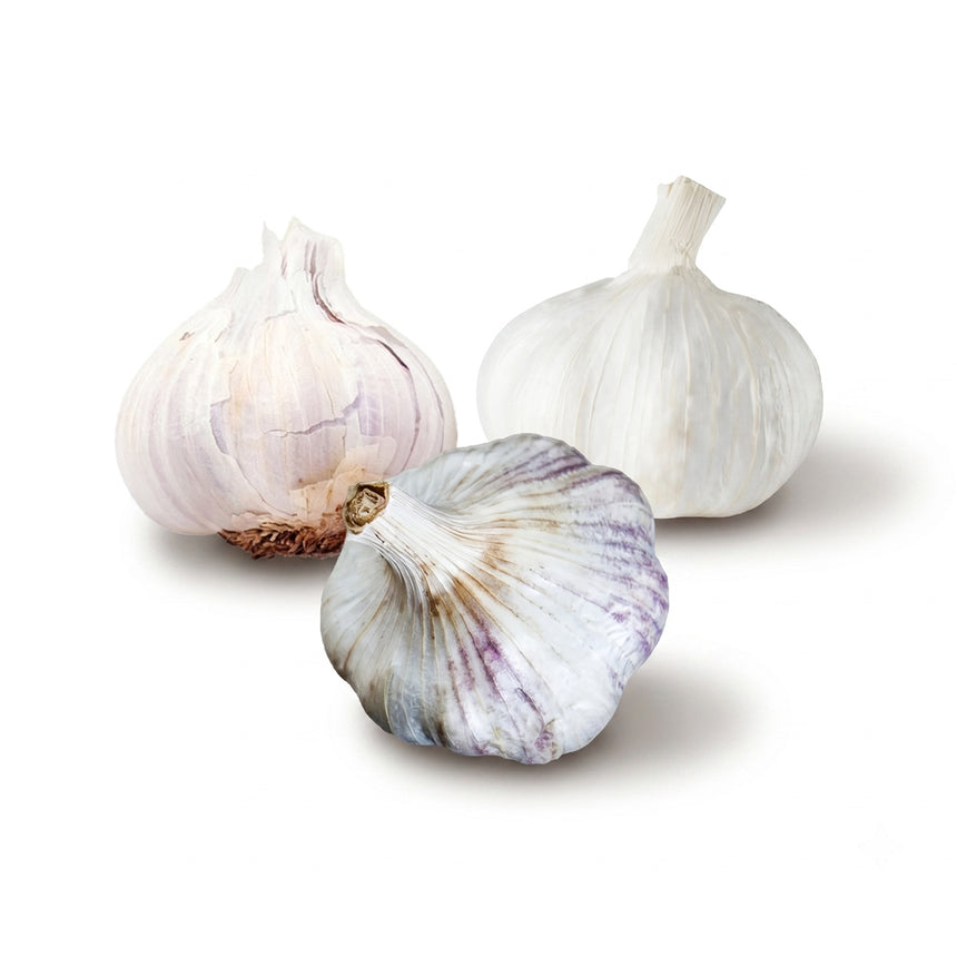 Warm Winter Winners Garlic Bundle (Zone 10 & Warmer)