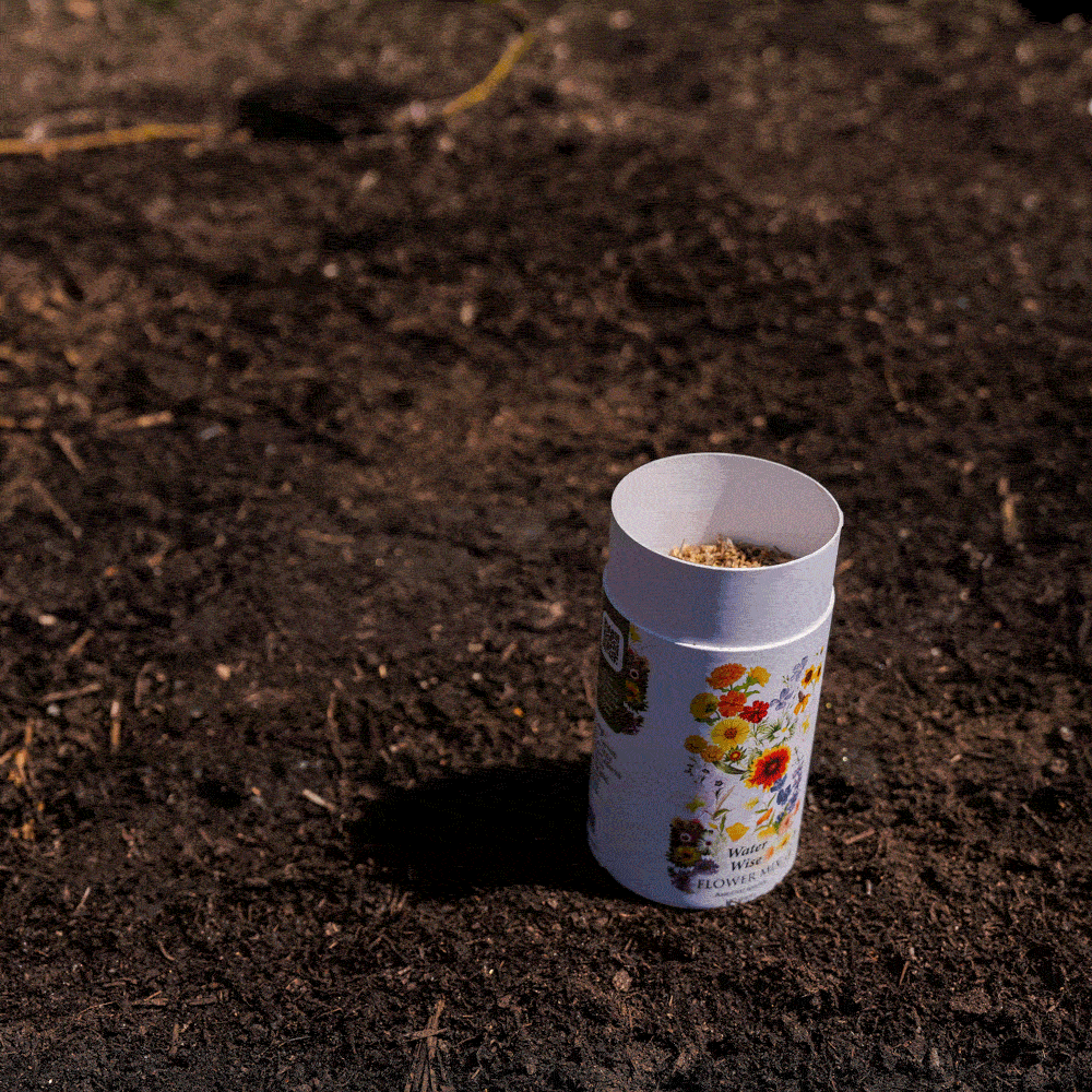 Water Wise Flower Mix Seed Shaker