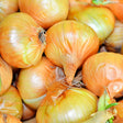Yellow Sweet Spanish Utah Bulb Onion Seeds