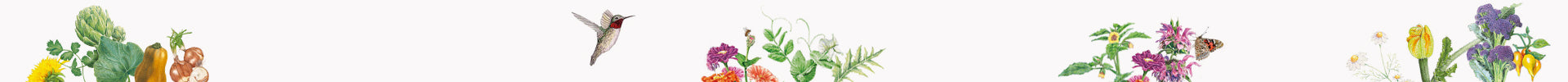 Decorative strip