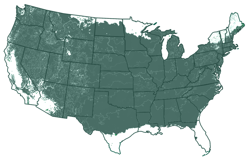 4-8 outdoors map