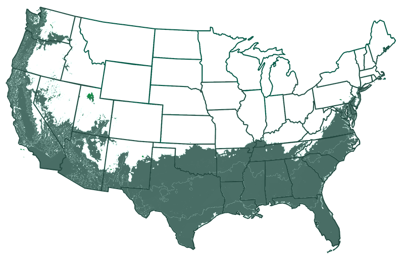 7-11 outdoors map