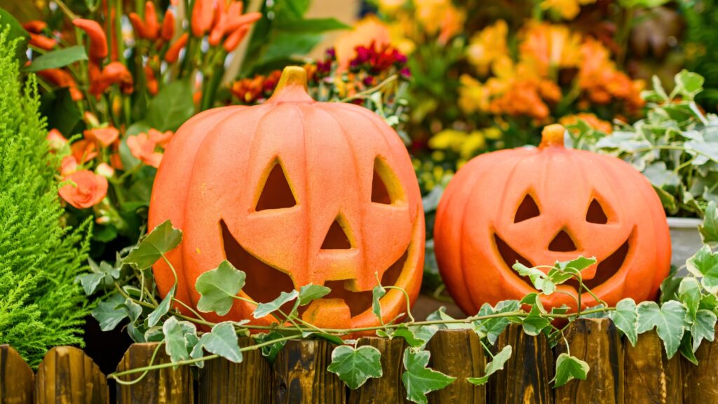 Pumpkins: Keeping Carved Pumpkins Fresh