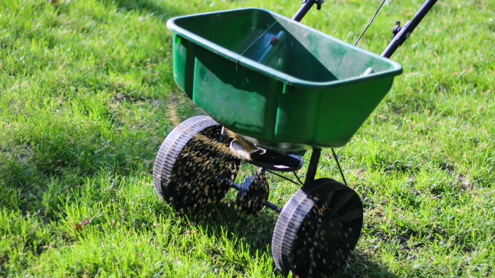 A person using a spreader to scatter material on the ground, with the tool appearing green and green foliage in the background