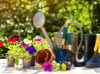 A shot of a composition of gardening tools and equipment, alongside flowers, showcasing late summer gardening tasks