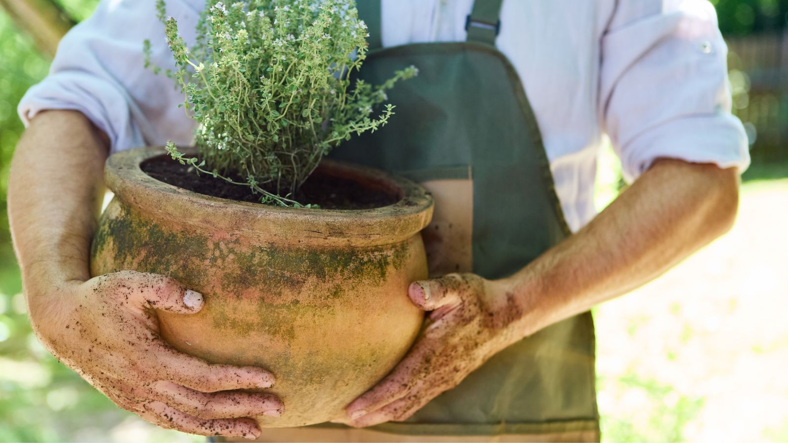 A close-up shot of a person in the process of moving a large pot with a small developing plant