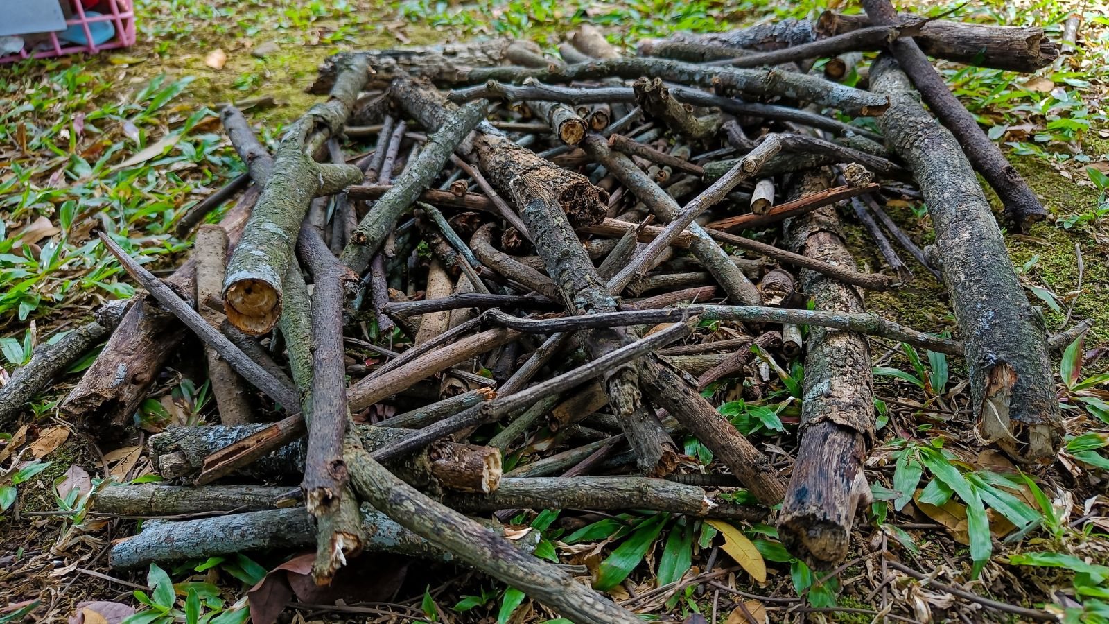 An overhead and close-up shot of an untidy arrangement of a log pile, all placed on a grassy yard area outdoors